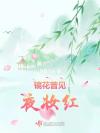 我喜欢上了暴力我的人